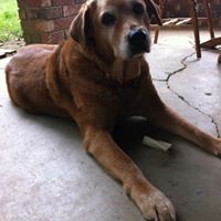 Becky Rawls Photo 7