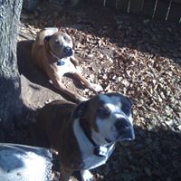 Stephani Robinson Photo 7