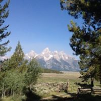Kelli Fitzgerald Photo 7