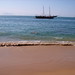 Joao Fernandes Photo 6