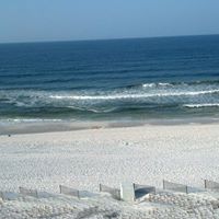 Jill Reece Photo 7