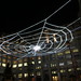 Crystal Weis Photo 11