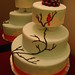 Tara Winters Photo 7