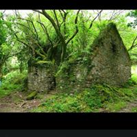 James Kerns Photo 15