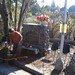 Kathy Cross Photo 10