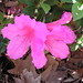 Teresa Atkinson Photo 33