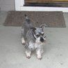 Ruth Gibson Photo 31