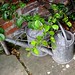 David Woll Photo 15