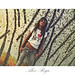 Irene Rodriguez Photo 18