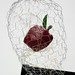 Stephen Carleton Photo 20