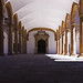 Juan Taveras Photo 37