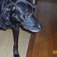 Patricia Mcreynolds Photo 9