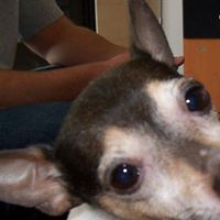 Robert Wargo Photo 11