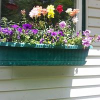 Karen Crouse Photo 32
