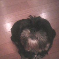 Peggy Short Photo 9