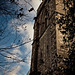 Andrew Gant Photo 9