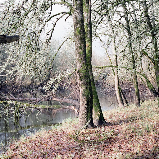 Conlan Murphy Photo 2