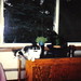 Doris Willis Photo 11