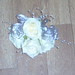 Daniel Topper Photo 20