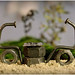 Danh Dinh Photo 16