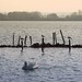 Martin Poole Photo 22