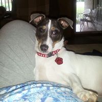 Kathy Blakley Photo 11