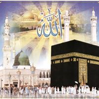 Khaled Moustafa Photo 11
