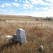 James Elbert Photo 6