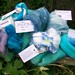 June Samples Photo 5
