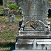 Paul Broderick Photo 18