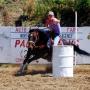 Roberta Paul Photo 18