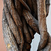 Barbara Root Photo 16