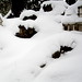 Christopher Whitten Photo 24