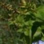Karen Hoppe Photo 25