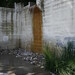 Mary Cowan Photo 18