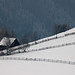 Cornelia Winters Photo 5
