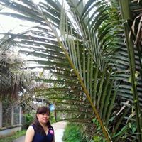 Nancy Huynh Photo 21