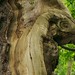 Jason Sherwood Photo 35
