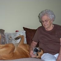 Sue Lowe Photo 18