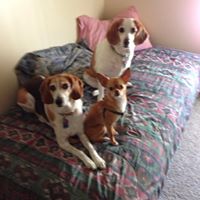 Linda Burchett Photo 16