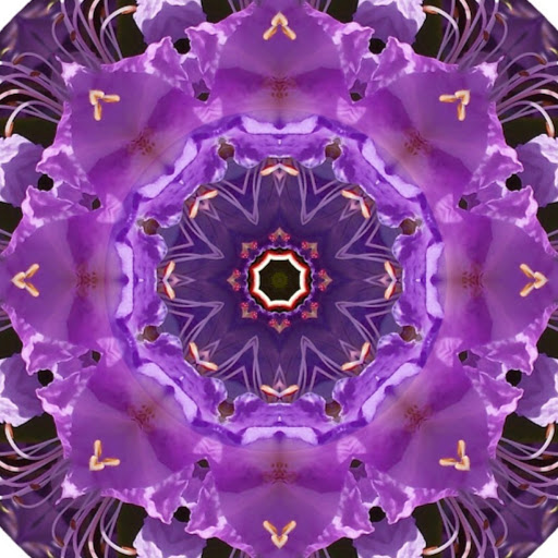 Dawn Jones Photo 39