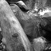 Crystal Abram Photo 16