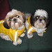 Barbara Conroy Photo 12
