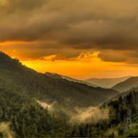 Darlene Cagle Photo 11
