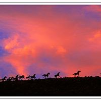 Brenda Fulcher Photo 9