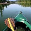 Susan Schafer Photo 31