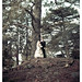 Justin Peek Photo 10