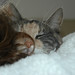 Amy Diers Photo 6