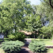 Stephen Rockwell Photo 25