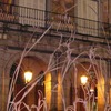 Terry Evans Photo 19